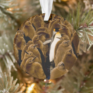 Adorno Animales de bebé más afectados Pingüino Entre Jó