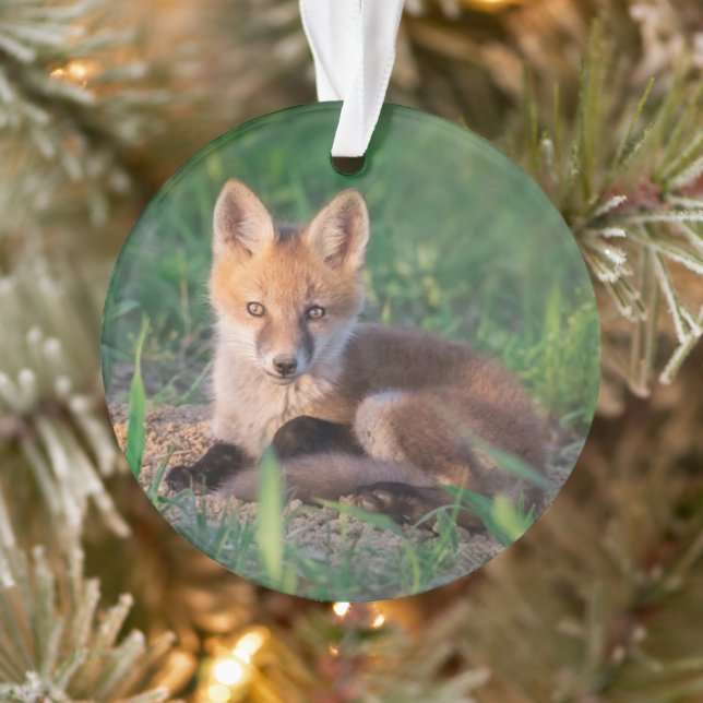 Adorno Animales de bebé más afectados | Red Fox Kit Relax (Árbol)
