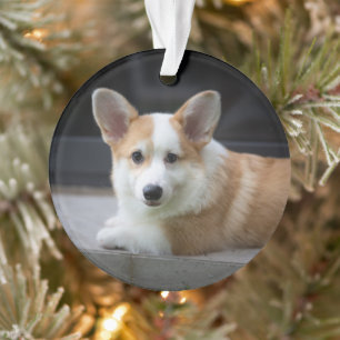 Adorno Animales de bebé más afectados Relajación de Cor