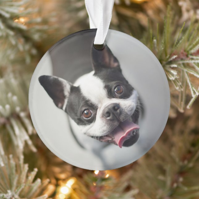 Adorno Animales de bebé más afectados | Sonrisa en el Bul (Árbol)