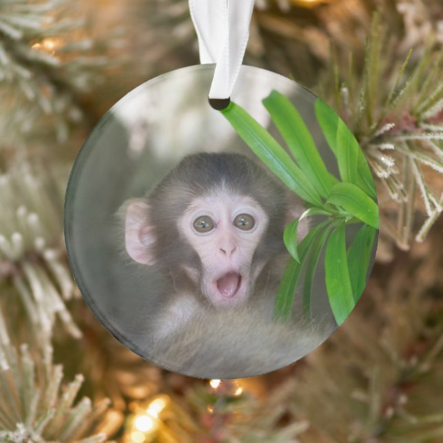 Adorno Animales de bebé más afectados | Sorprendido mono  (Árbol)