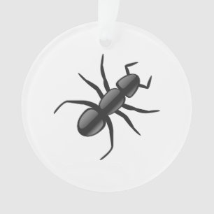 Adorno Ant