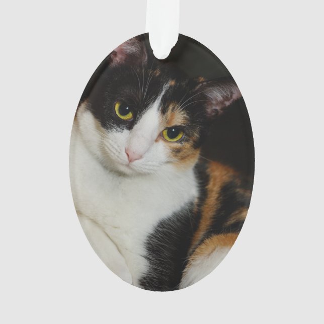 Adorno Apenas colgando alrededor (Reverso)