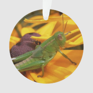 Adorno Aquí está mirándote - Grasshopper