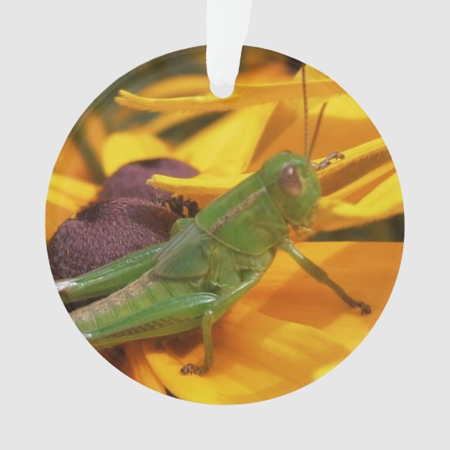 Adorno Aquí está mirándote - Grasshopper (Anverso)