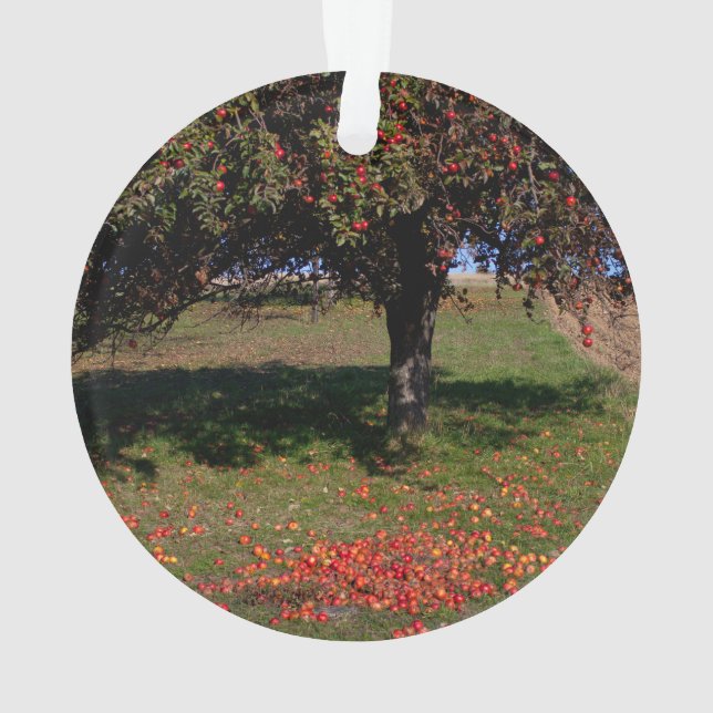 Adorno Árbol de manzanas antiguo (Reverso)