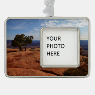 Adorno Árbol fuera de las rocas rojas I en Canyonlands