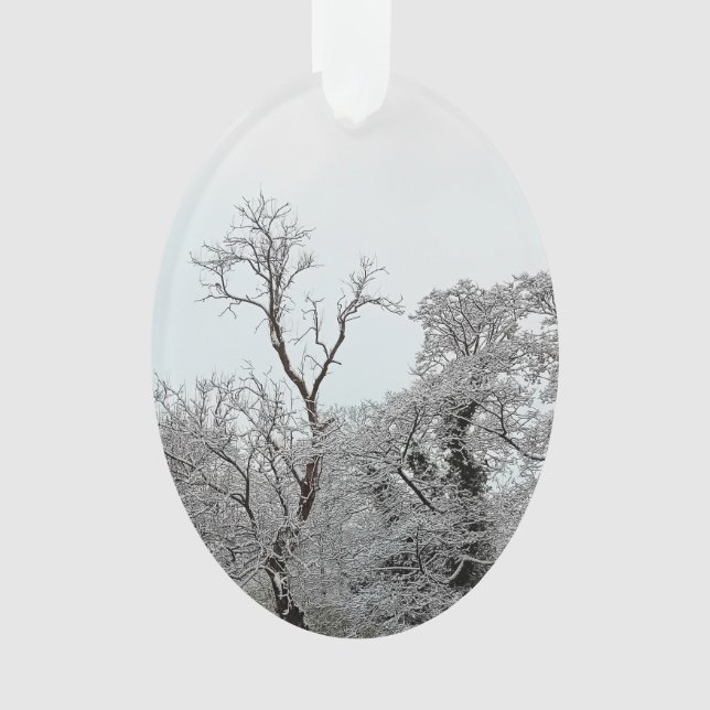 Adorno Árboles cubiertos de nieve (Anverso)