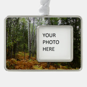 Adorno Árboles de aves blancas y caídas en montaña rocosa