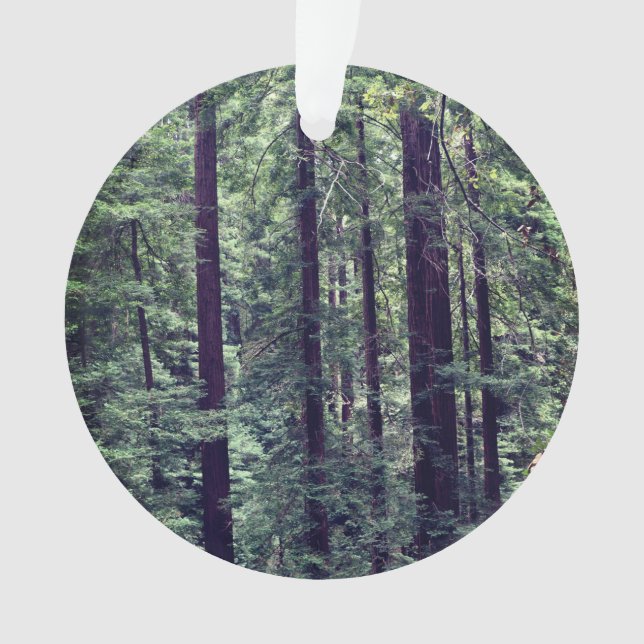 Adorno Árboles de secuoya #2 (Anverso)