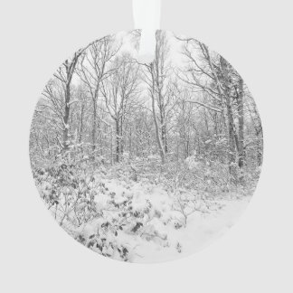 Adorno Árboles Nevado en el Poconos