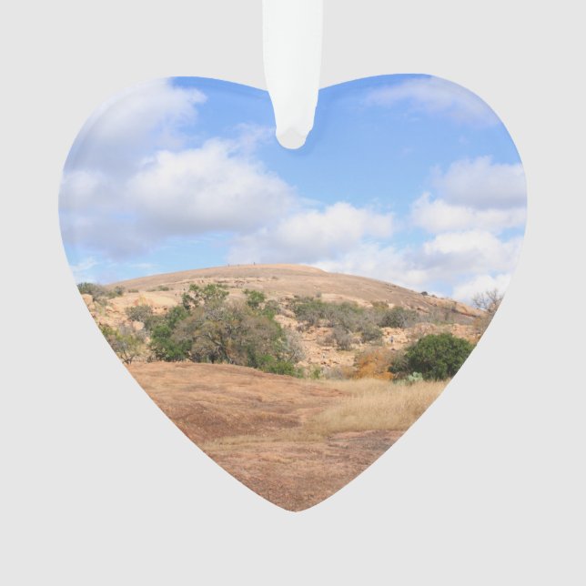 Adorno Área natural encantada Tejas soleada del estado de (Anverso)