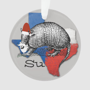 Adorno Armadillo Santa