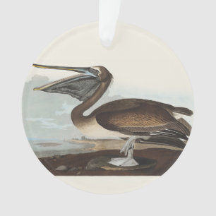 Adorno Arte de Ave Costera Vintage Audubon Pelícano Pardo