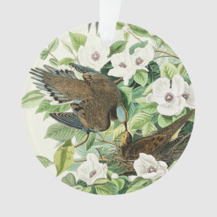 Adorno Arte de flores y pájaros de la paloma llorona vint