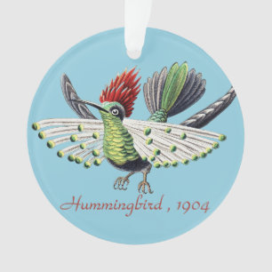 Adorno Arte de la Naturaleza de Colibríes Coloridos de Er