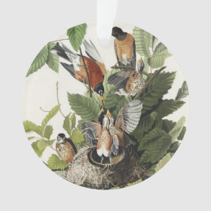 Adorno Arte de nido de pájaro Robin americano Audubon vin