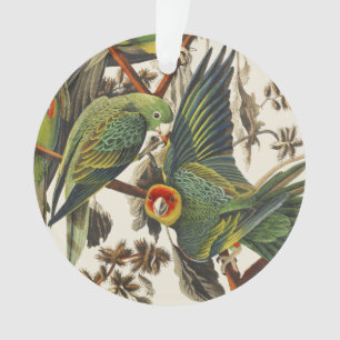 Adorno Arte de Pájaros Vintage Audubon del Perico de Caro