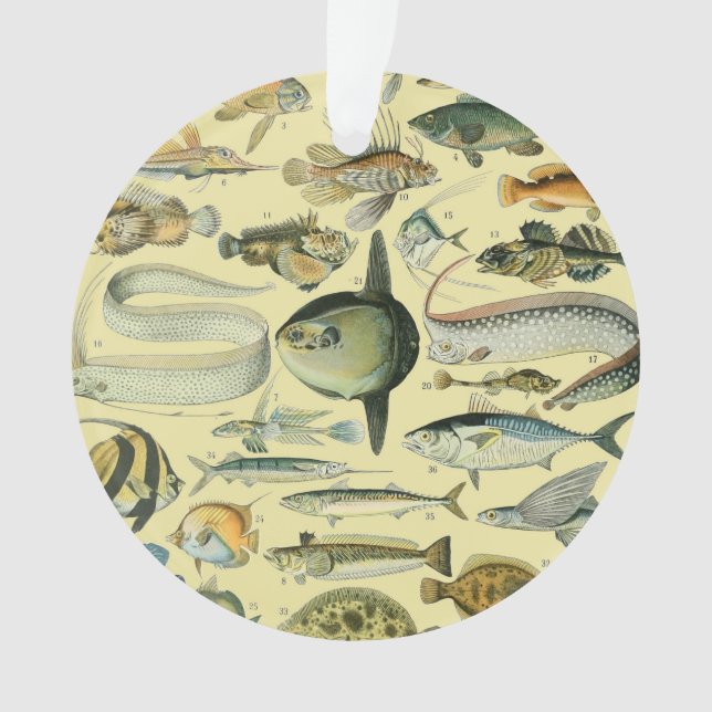 Adorno Arte de pesca científica de peces de época (Anverso)