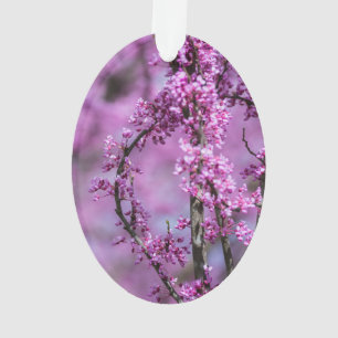 Adorno Arte de Redbud de Avondale