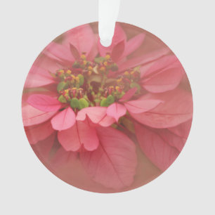 Adorno Arte Digital Flor de Pascua Rubor de Rosa
