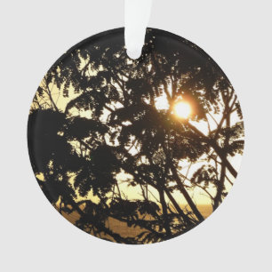 Adorno Atardecer a través de árboles en fotografía tropic