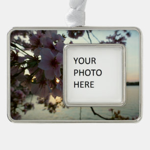 Adorno Atardecer en flor de cerezo en Washington DC