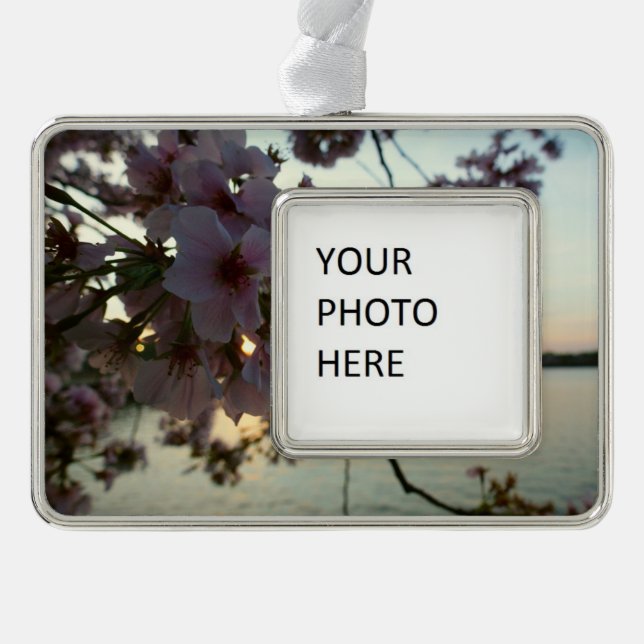 Adorno Atardecer en flor de cerezo en Washington DC (Anverso)