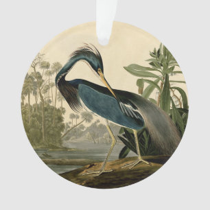 Adorno Audubon Louisiana Heron Birds America Art
