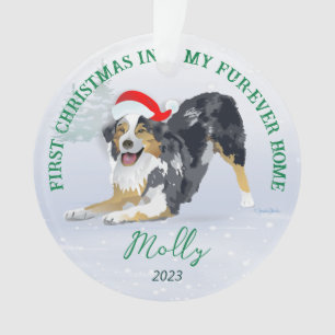 Adorno Aussie usando Santa Hat 2023