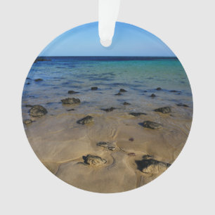 Adorno Autopista oceánica de la isla de Jeju