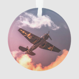 Adorno Avión de época hermoso cielo