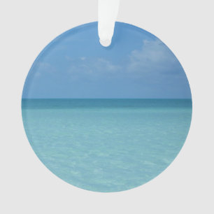 Adorno Azul turquesa tropical del horizonte del Caribe