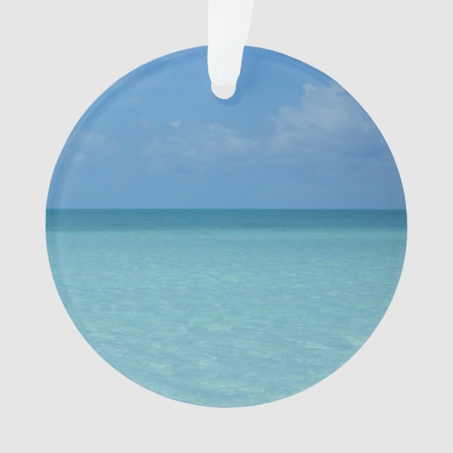 Adorno Azul turquesa tropical del horizonte del Caribe (Anverso)