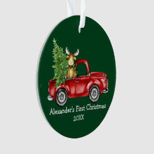 Adorno Baby First Christmas Truck Moose FOTO BACK Green