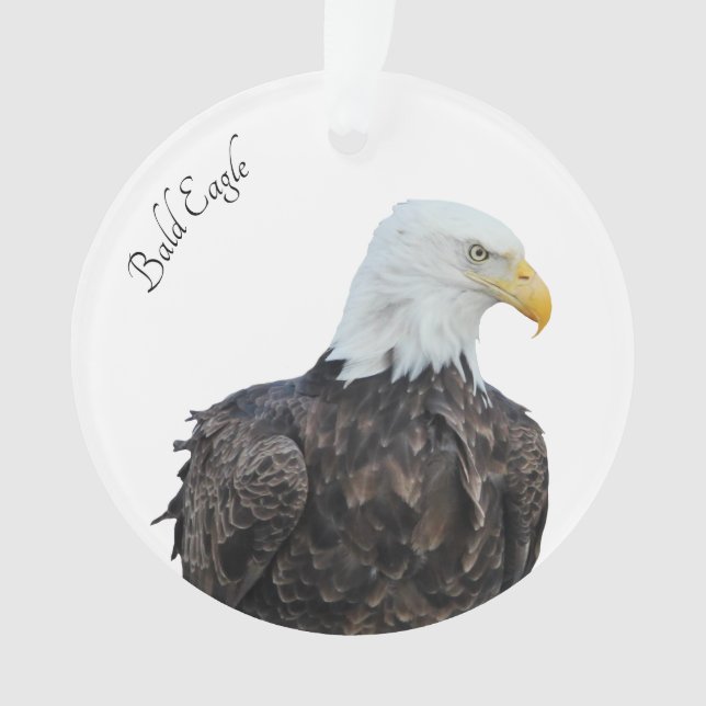 Adorno Bald Eagle (Anverso)