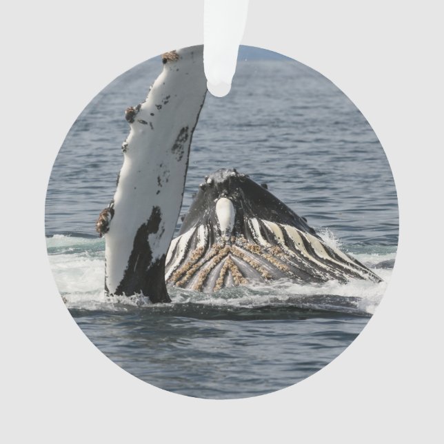 Adorno Ballena jorobada (Anverso)