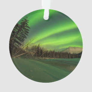 Adorno Banded Aurora