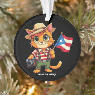 Adorno Bandera puertorriqueña boricua hispana