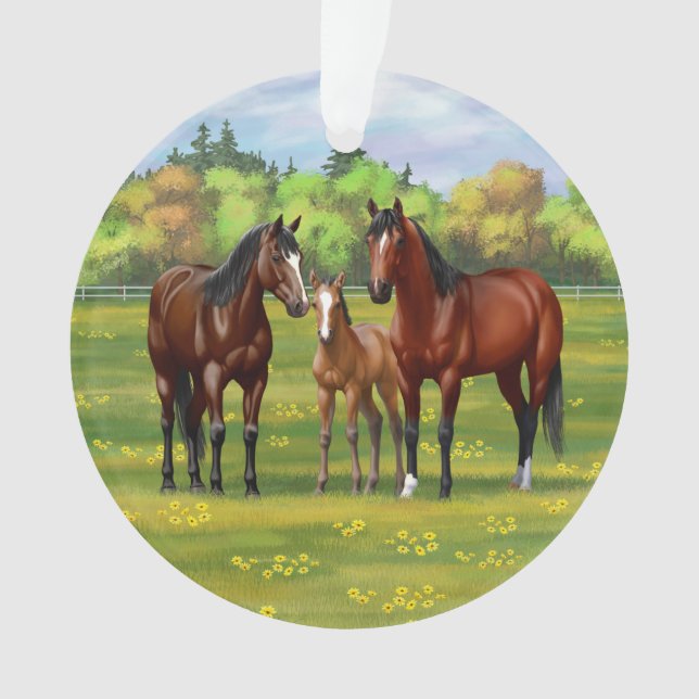 Adorno Barrio Marrón De Caballos En Pasto De Verano (Anverso)