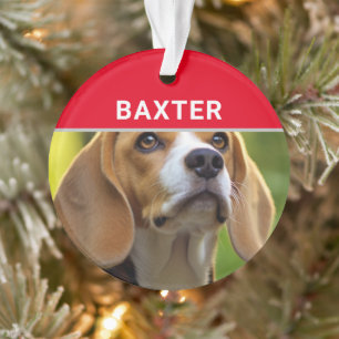 Adorno Beagle con nombre de perro y Navidades de fotograf