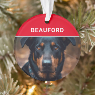 Adorno Beauceron con el nombre de un perro y Navidades de