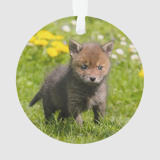 Adorno Bebé salvaje Cub de Fox Rojo Fluffy - (Reverso)