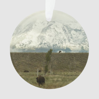 Adorno Bison en la fotografía del parque nacional del Gra