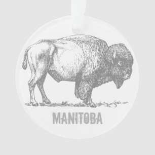 Adorno Bisonte de Manitoba