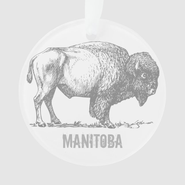 Adorno Bisonte de Manitoba (Anverso)