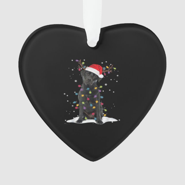 Adorno Black Labrador Xmas Dog Christmas Tree Light Class (Anverso)