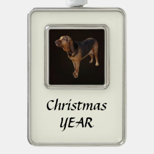 Adorno Bloodhound