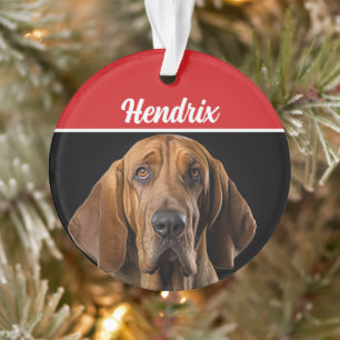 Adorno Bloodhound con Navidades de nombre y festividad fo