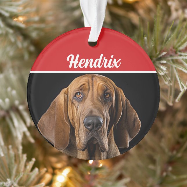 Adorno Bloodhound con Navidades de nombre y festividad fo (Árbol)